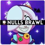 Nulls Brawl