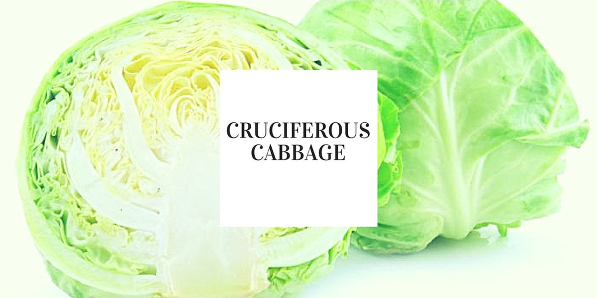 Cruciferous Cabbage.. The Cure to Cancer?
