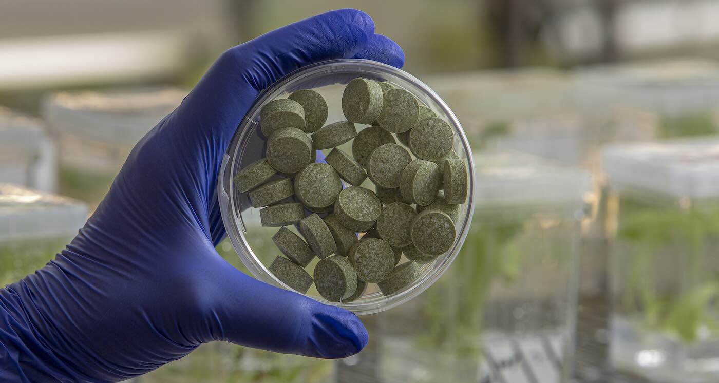 Lab study: an antiviral chewing gum lowered cancer-linked germs in mouth samples