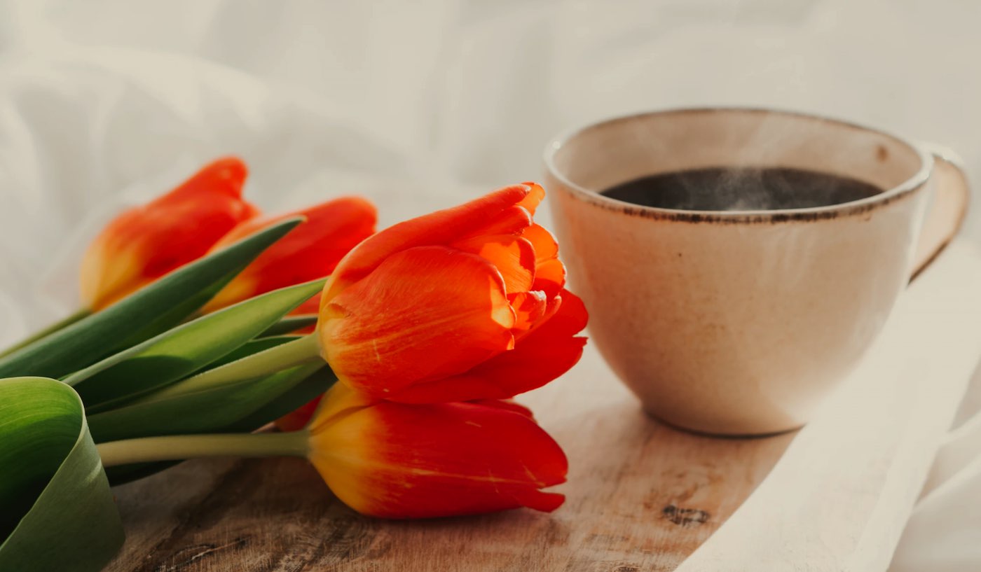 Study: Coffee linked to lower liver disease risk