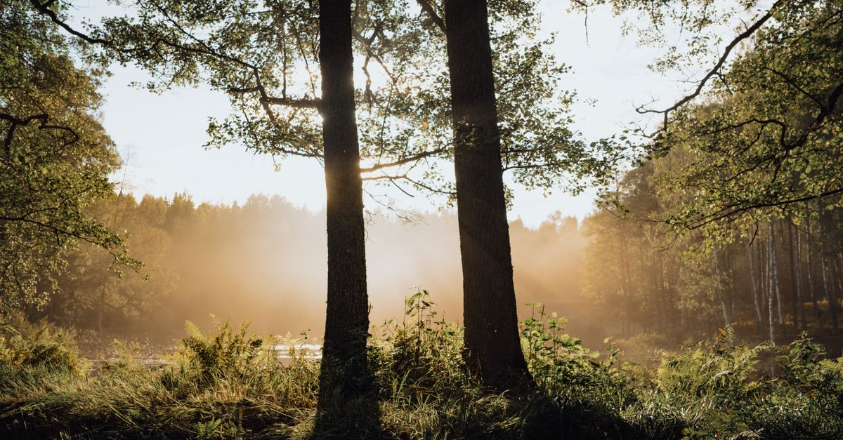 Finding Comfort After a Cancer Diagnosis