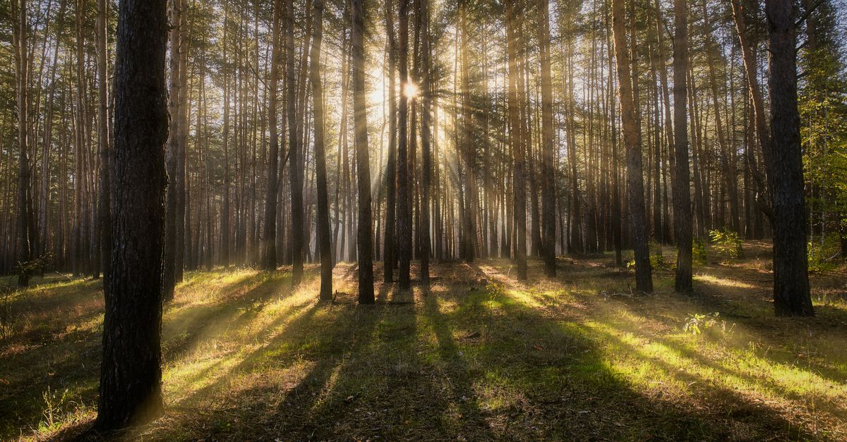 Hope and Meaning After Tough Cancer News